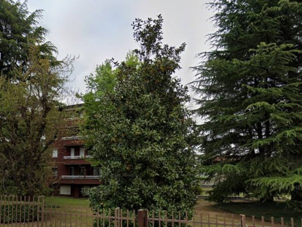 appartamento in affitto a Meda