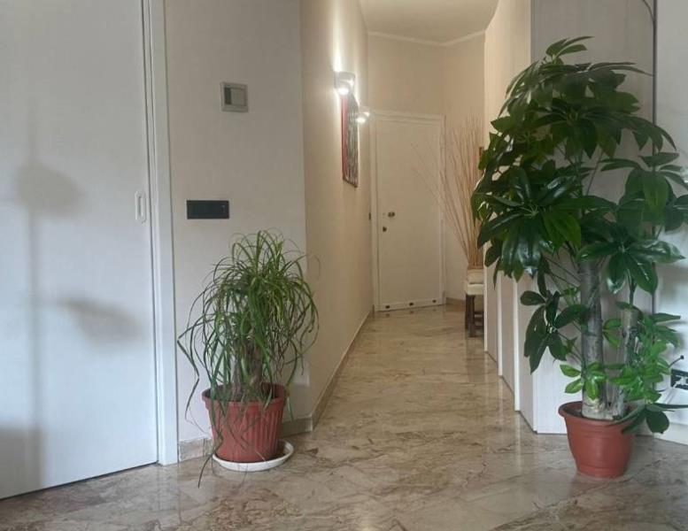 appartamento in affitto a Monza