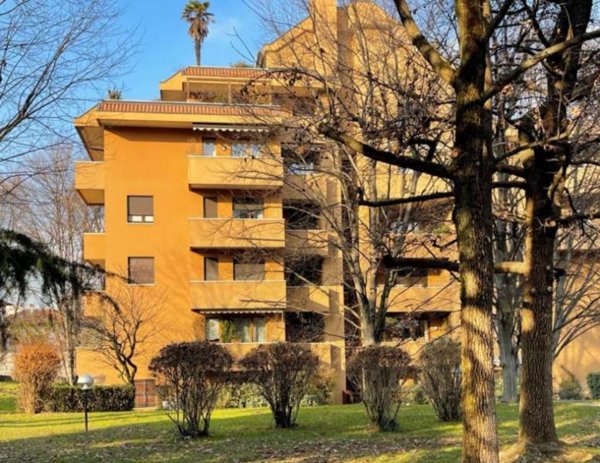 appartamento in affitto a Monza