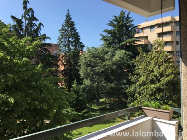 appartamento in affitto a Monza