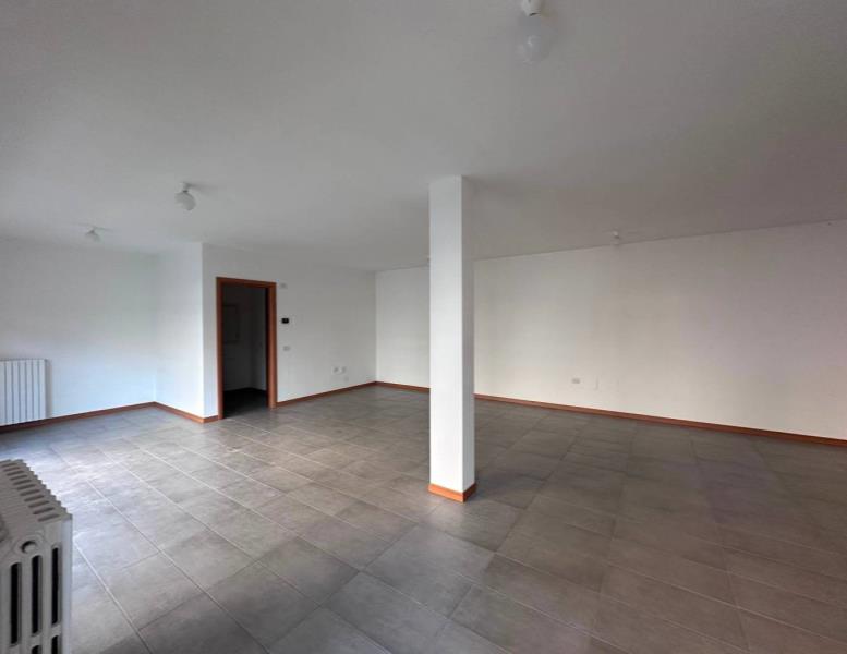 negozio in affitto a Monza