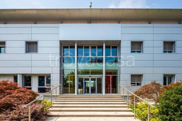 immagine annuncio 0 di 15