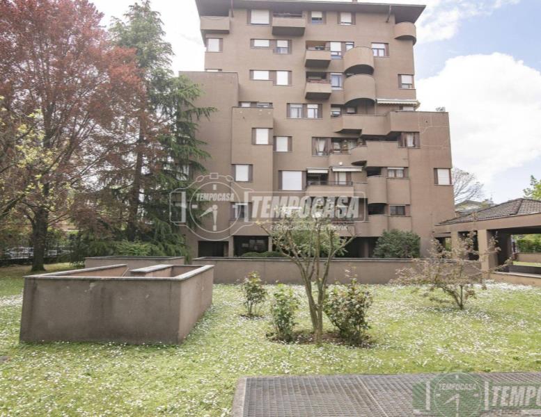 appartamento in affitto a Monza