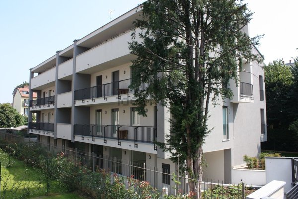 appartamento in affitto a Monza