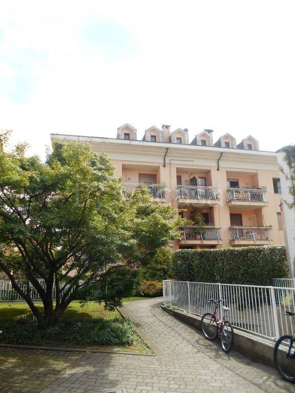 appartamento in affitto a Monza