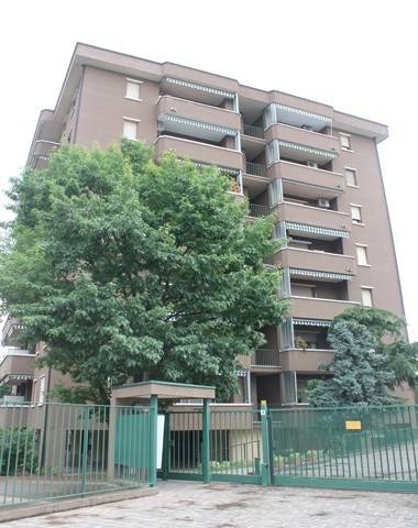 appartamento in affitto a Monza