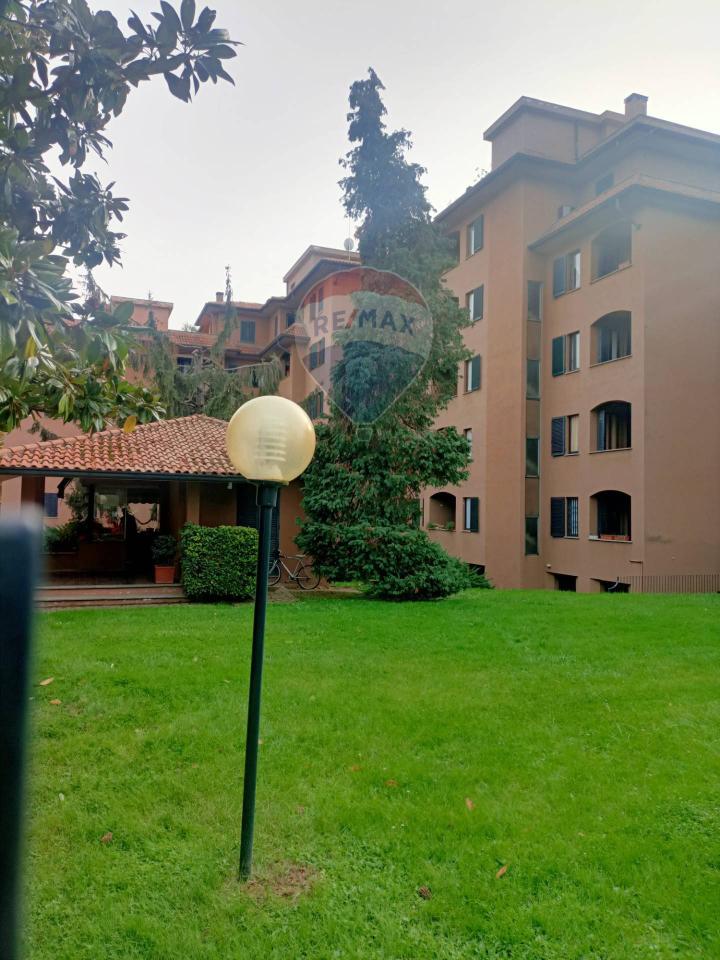 appartamento in affitto a Monza