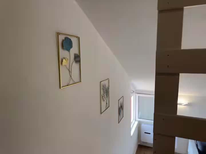 appartamento in affitto a Monza