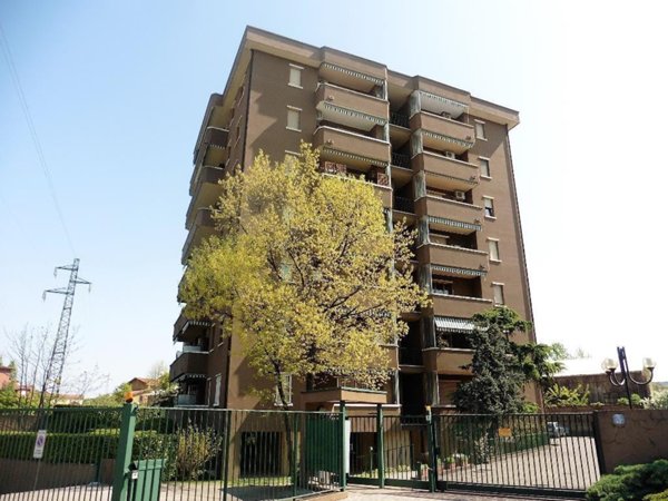 appartamento in affitto a Monza