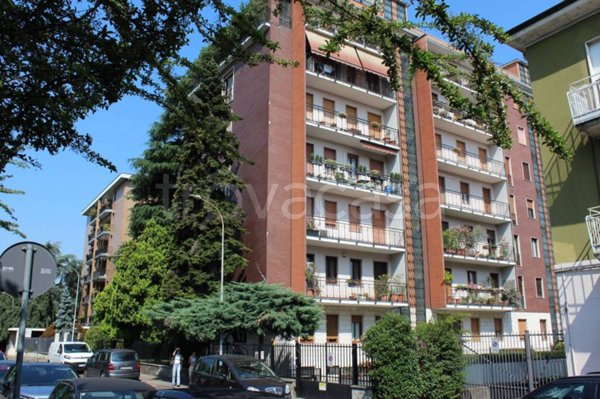 appartamento in affitto a Monza