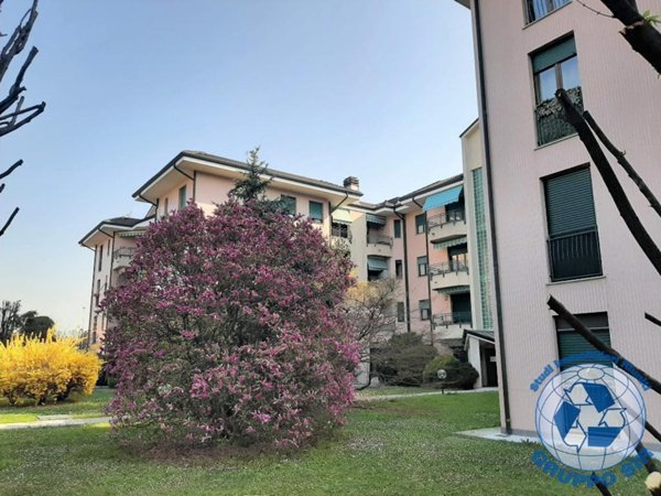 appartamento in affitto a Monza