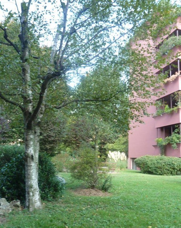 appartamento in affitto a Monza