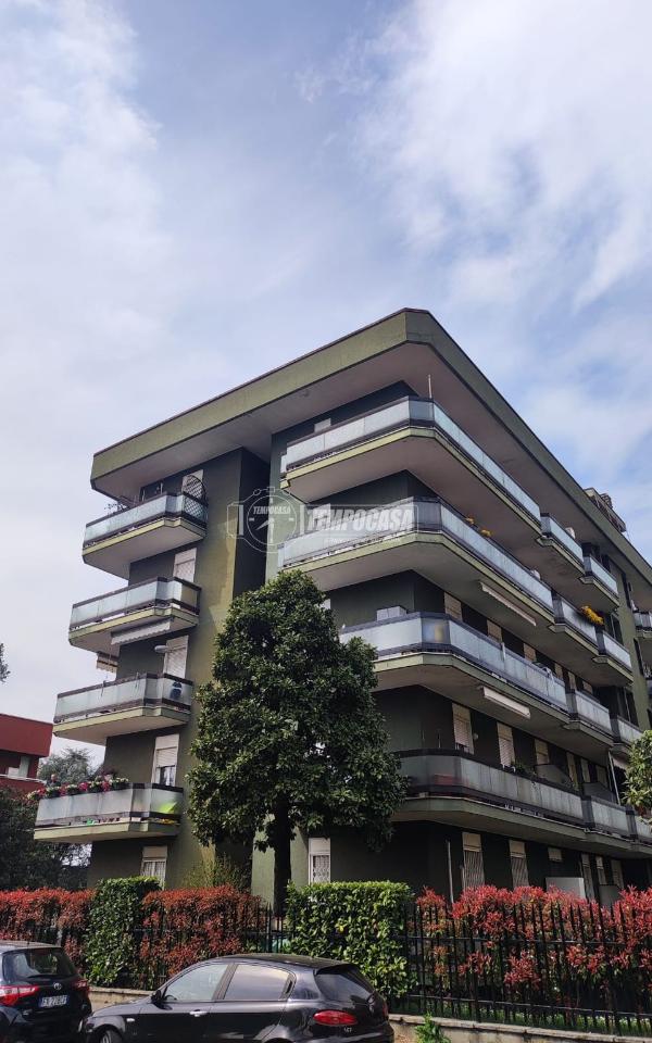 appartamento in affitto a Monza