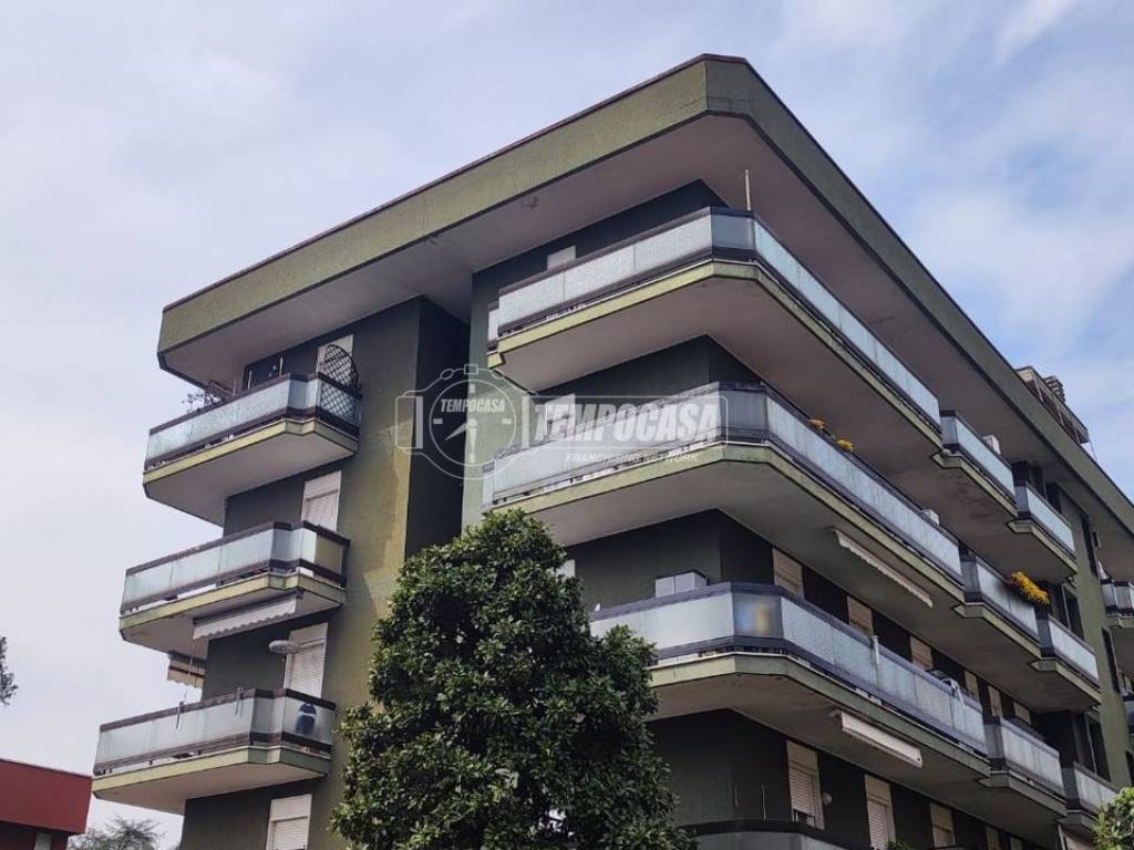 appartamento in affitto a Monza