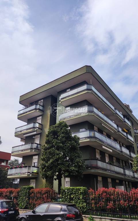 appartamento in affitto a Monza