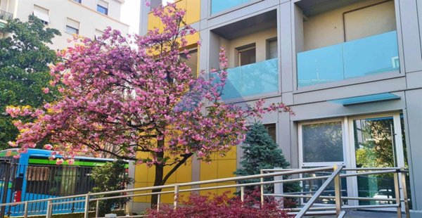 appartamento in affitto a Monza in zona Centro Storico