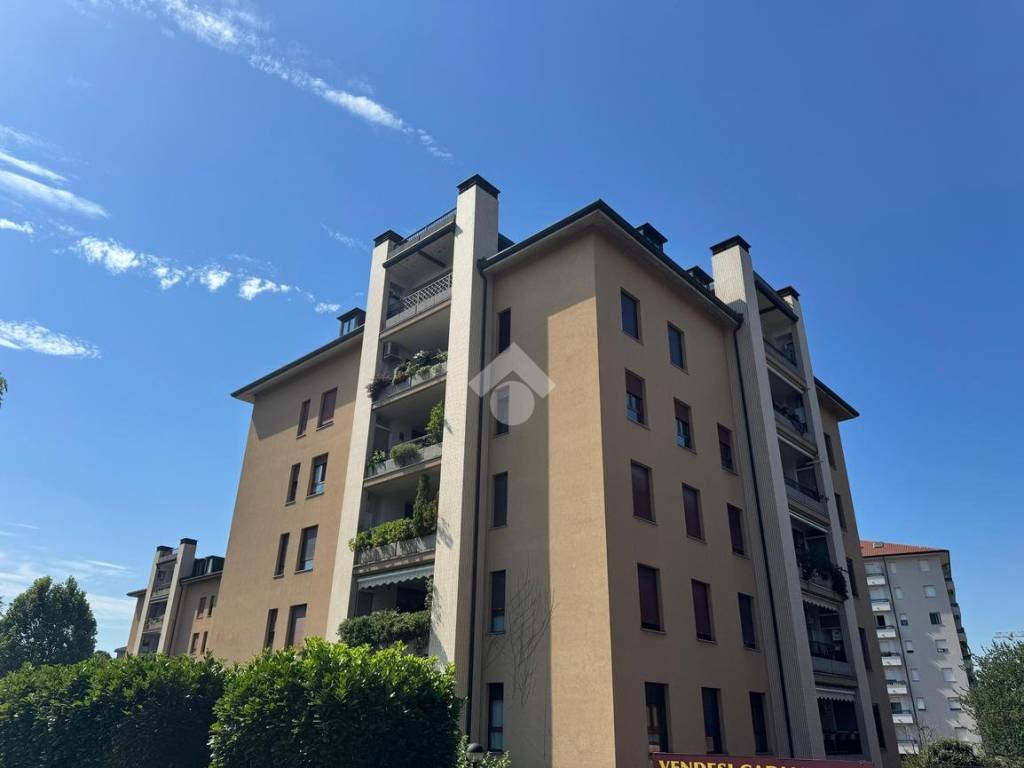 appartamento in affitto a Monza