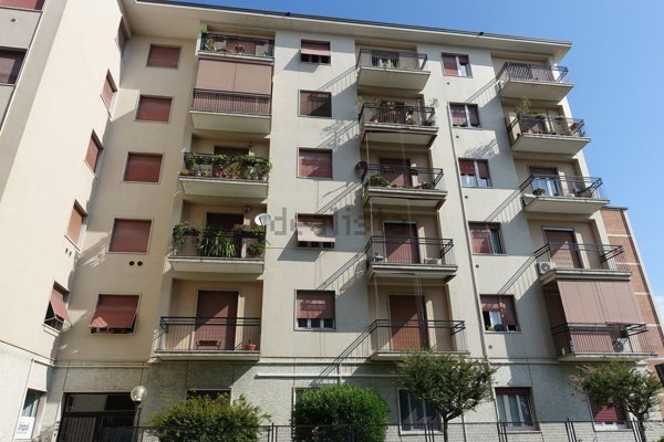 appartamento in affitto a Monza