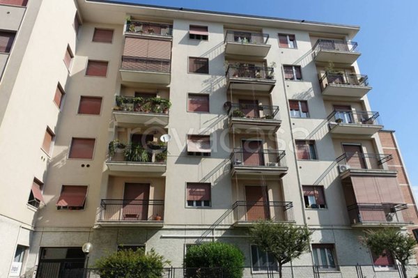 appartamento in affitto a Monza