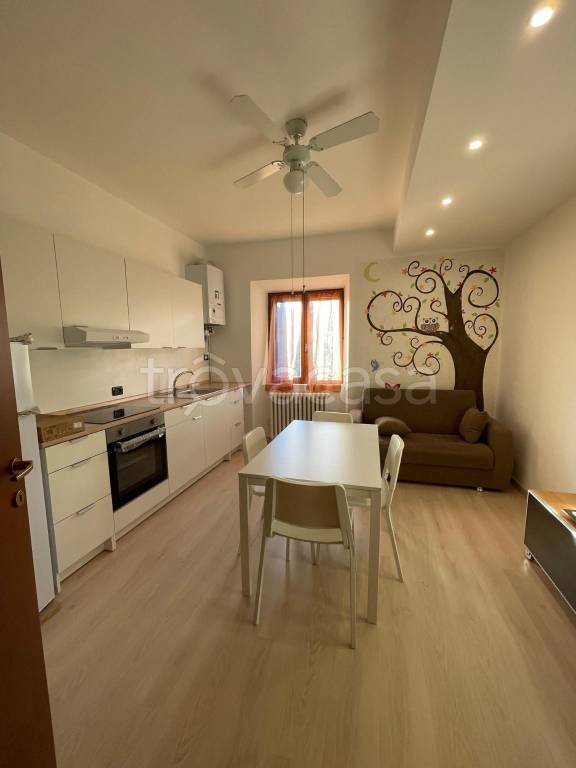 appartamento in affitto a Monza