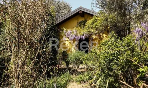 appartamento in affitto a Monza in zona Centro Storico