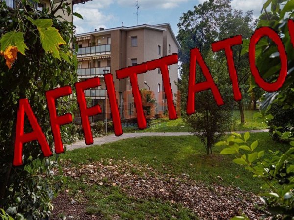 appartamento in affitto a Monza