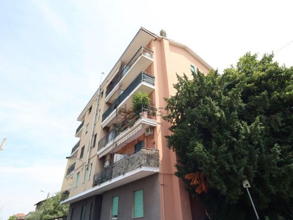appartamento in affitto a Monza