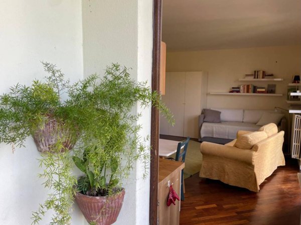 appartamento in affitto a Monza