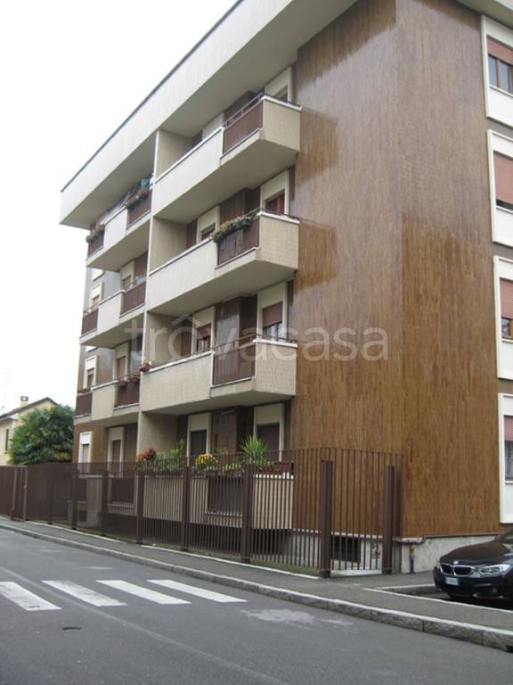 appartamento in affitto a Monza