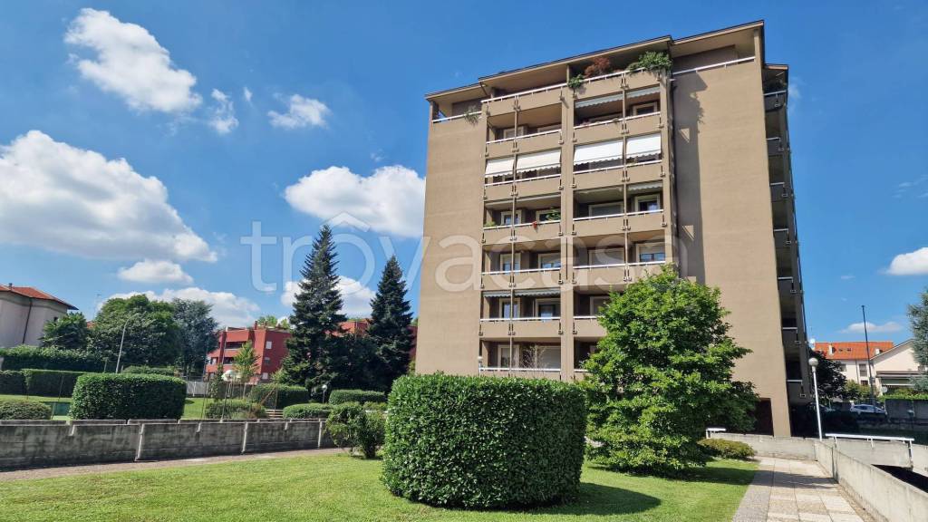 appartamento in affitto a Monza