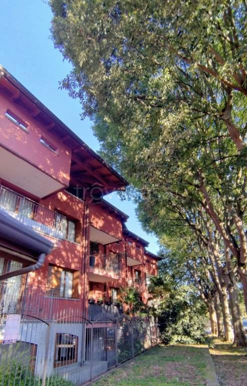 appartamento in affitto a Monza in zona Ospedale San Gerardo