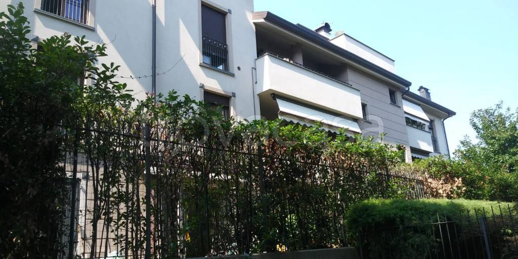 appartamento in affitto a Monza