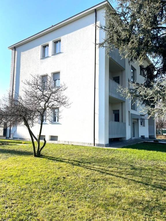 appartamento in affitto a Monza
