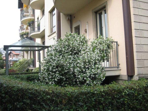 appartamento in affitto a Monza in zona Centro Storico