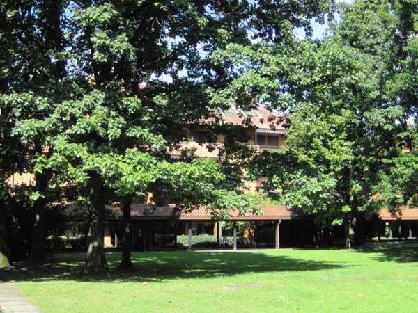 appartamento in affitto a Monza