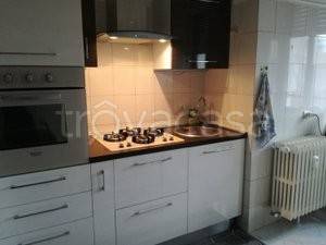 appartamento in affitto a Monza
