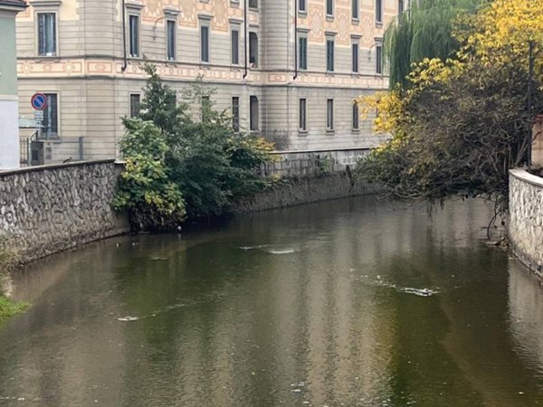 appartamento in affitto a Monza in zona Centro Storico