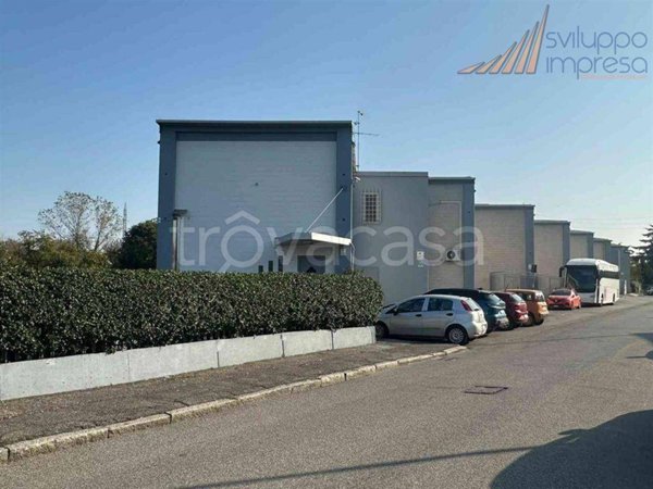 appartamento in affitto a Monza