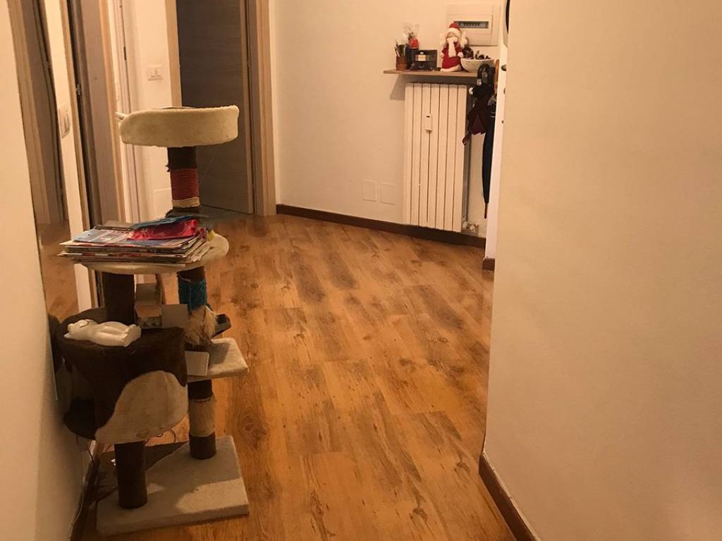 appartamento in affitto a Monza