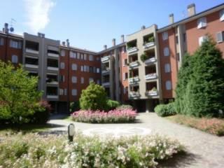 appartamento in affitto a Monza