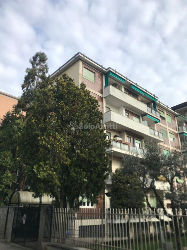 appartamento in affitto a Monza