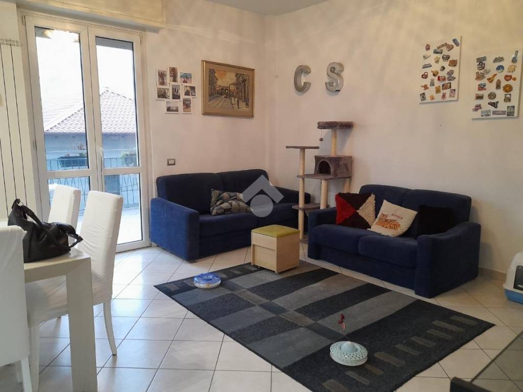 appartamento in affitto a Monza