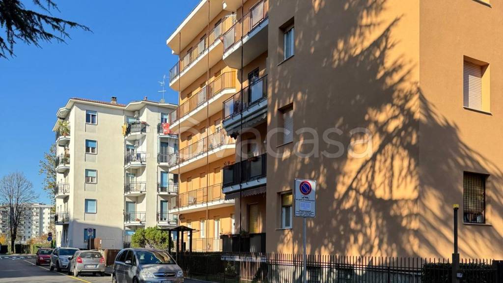 appartamento in affitto a Monza