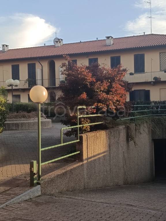 appartamento in affitto a Monza