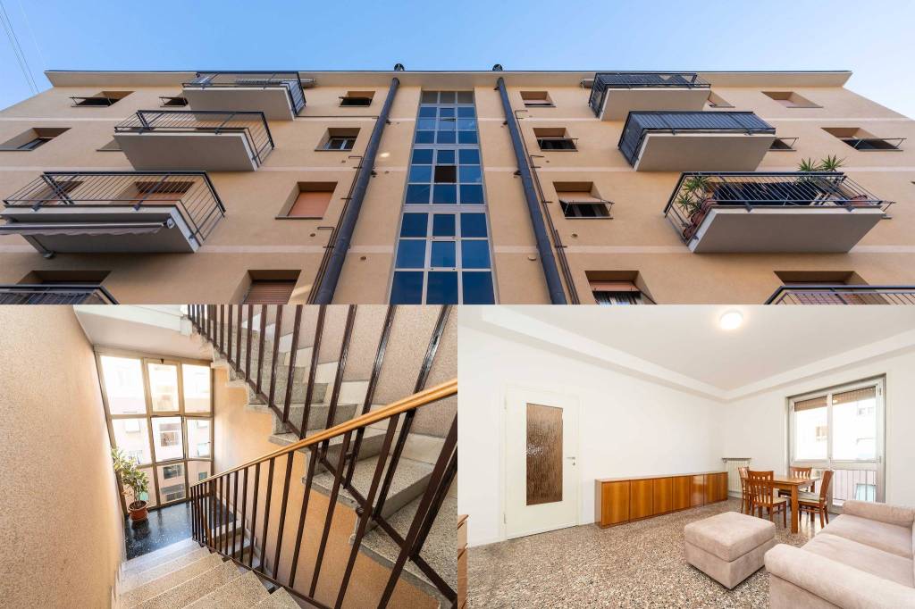 appartamento in affitto a Monza