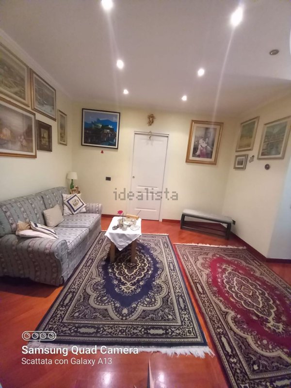 appartamento in affitto a Monza