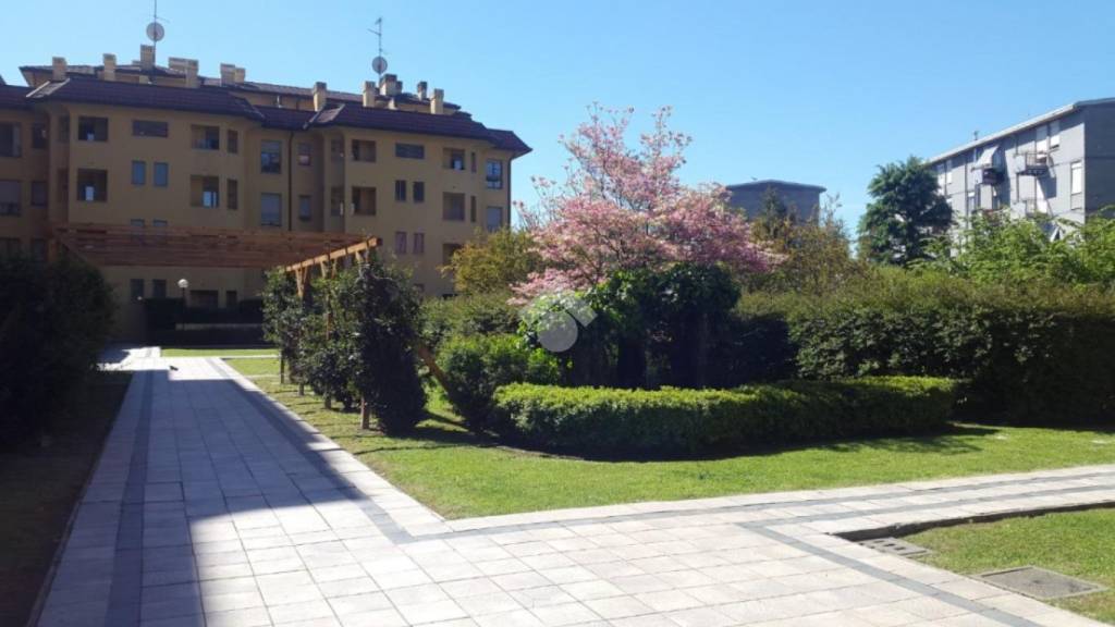 appartamento in affitto a Monza