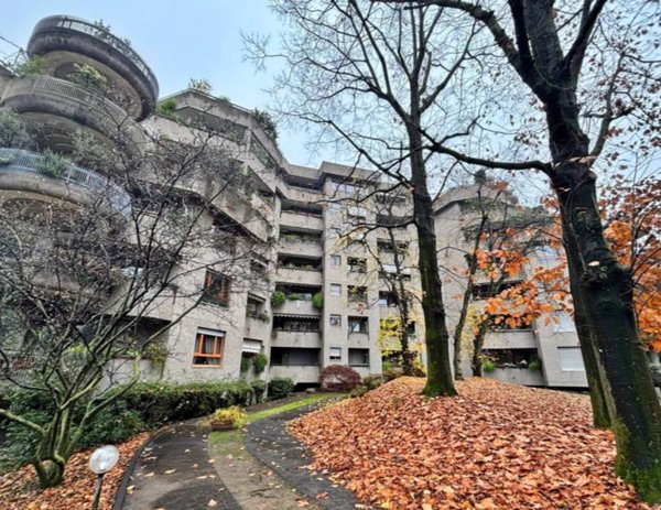 appartamento in affitto a Monza