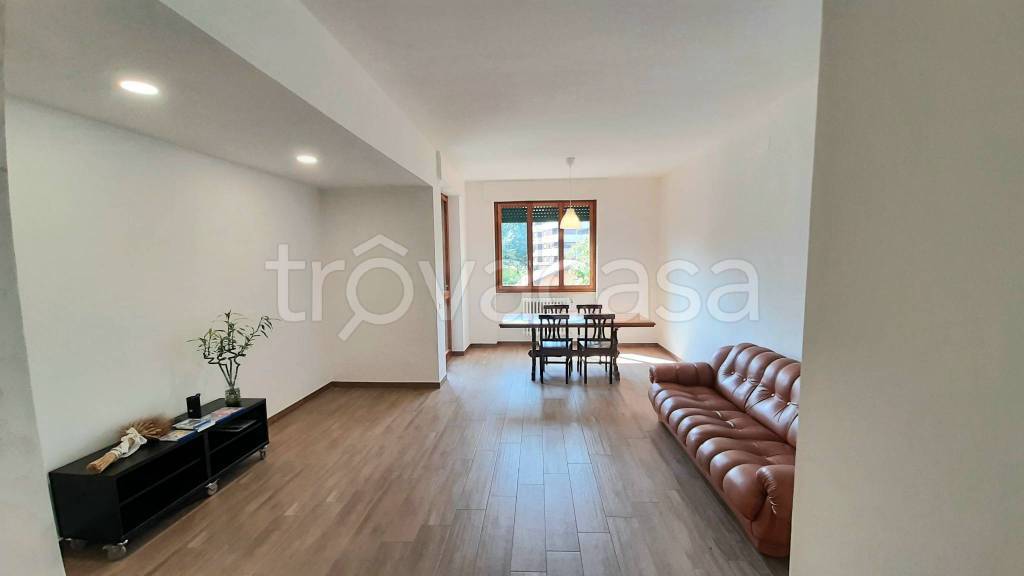 appartamento in affitto a Monza