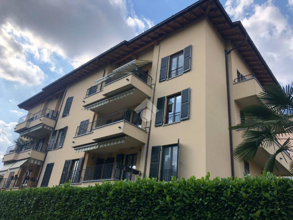 appartamento in affitto a Monza